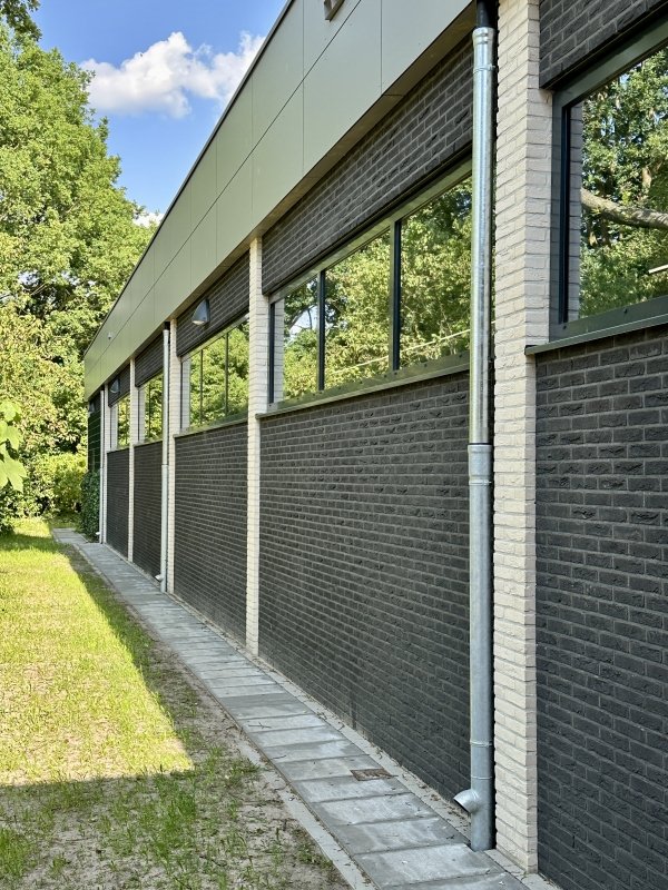 Aldi de Gors